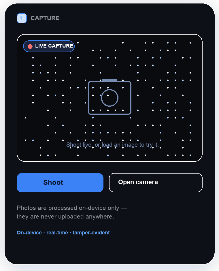 ProofShot capture screen